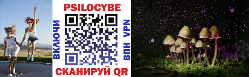 Псилоцибиновые грибы GOLDEN TEACHER KRAKEN как войти Абаза где купить наркоту